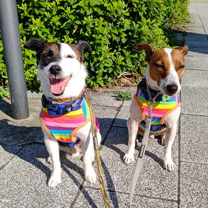 068ea490 23e1 4d4c 927f cf40db89ac4f 1623191966573