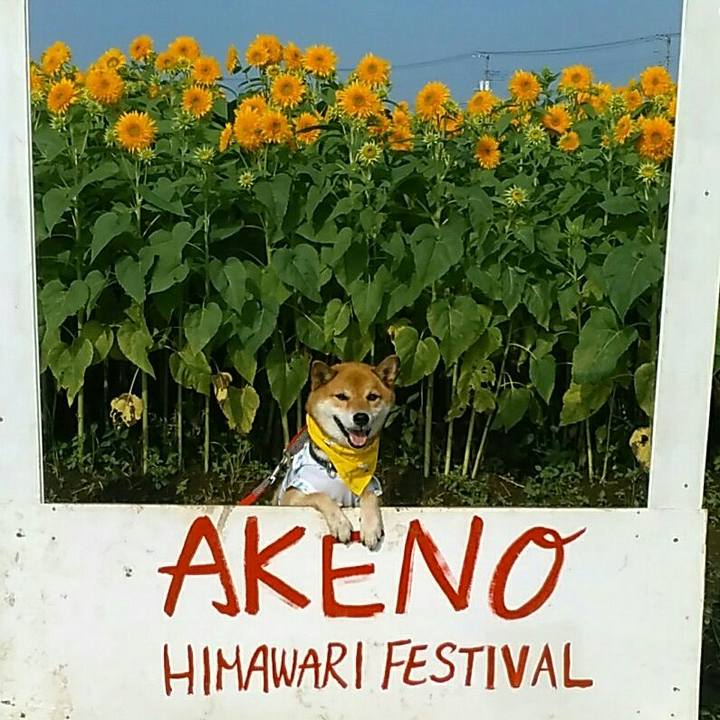 068ee09e 5170 424f b66f 16134edfeeb3 1566695234757