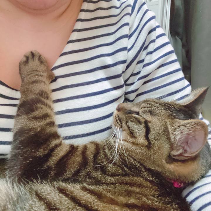 068ef84a 23f4 4358 a08c 26e055b61b84 1613534048155