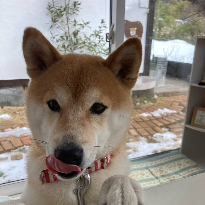 068f1a91 27a1 46a0 8190 df4995c12046 1647777308028