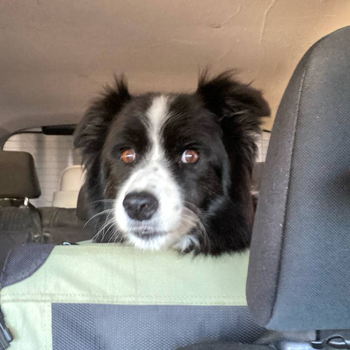 068f3ff2 1423 44f1 8777 3090484149ae 1695592998226