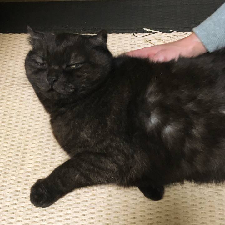 068f4a74 7b85 43c0 b902 eae017f7ff78 1516256614493