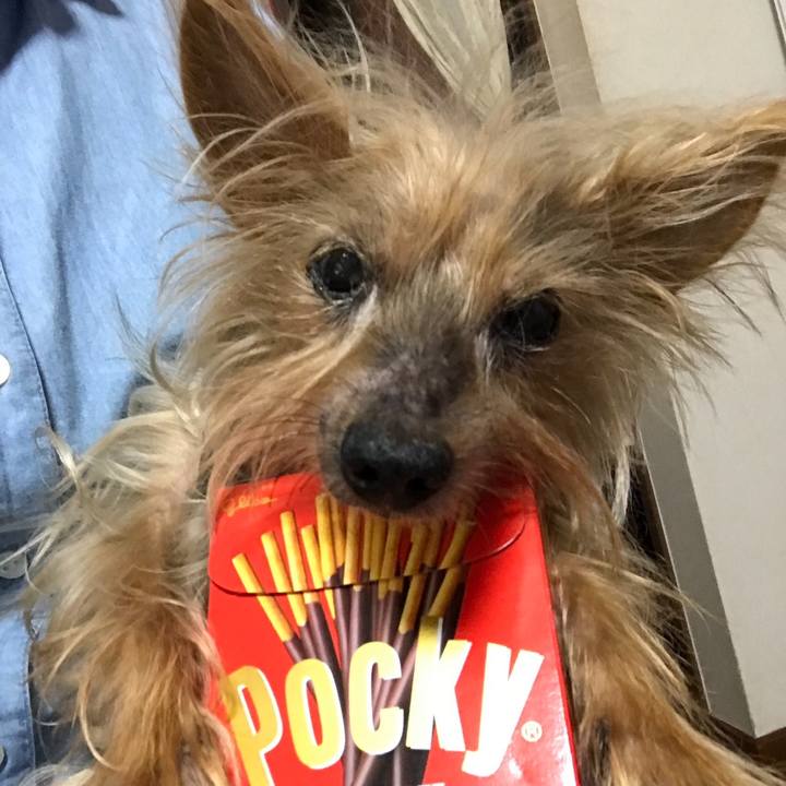 068f56c8 cb91 43ba 8a3a fcab726155cf 1699679461468