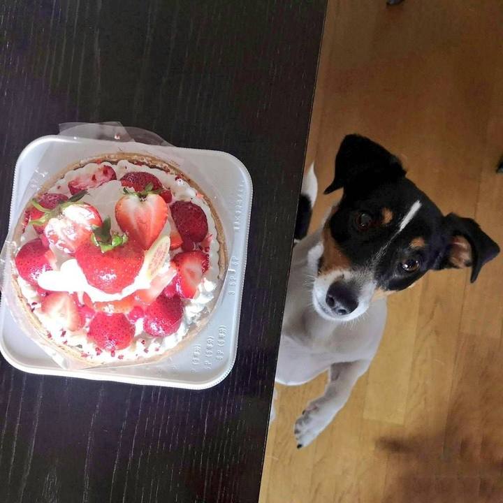 068f6059 903a 4e85 8ced d057d0f6a7b2 1597473513358