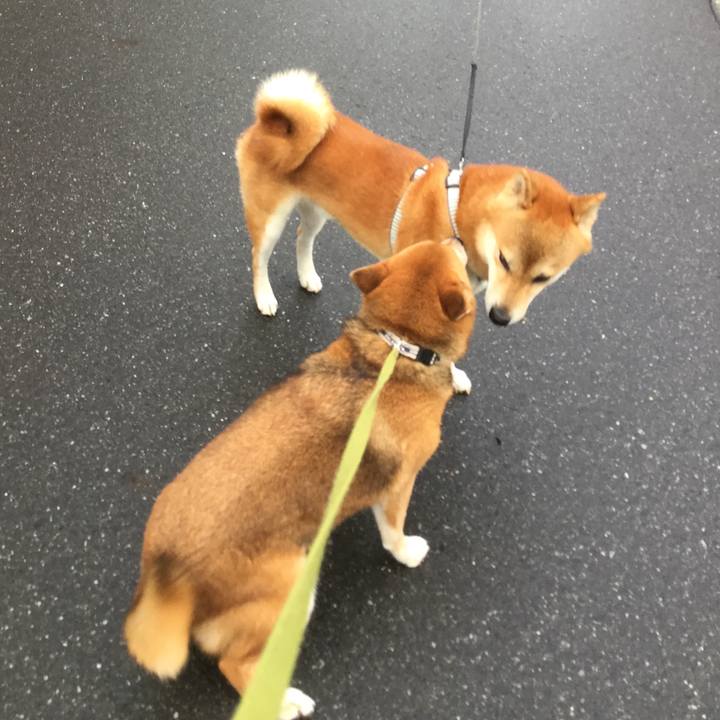 068f826d 4bdc 49e5 a05a accb565d293d 1566550867734