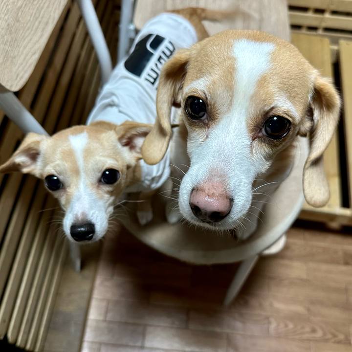 068f8fee 46e8 4fb2 8492 f15e3b8e8e6e 1680952962812