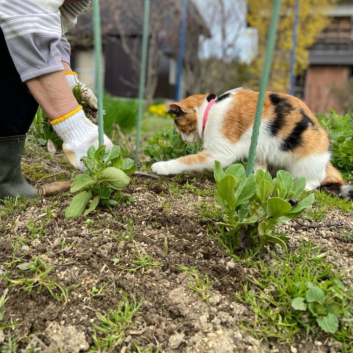 068fb6c0 5ca2 4ce5 aec7 9debcaca8266 1649054617158