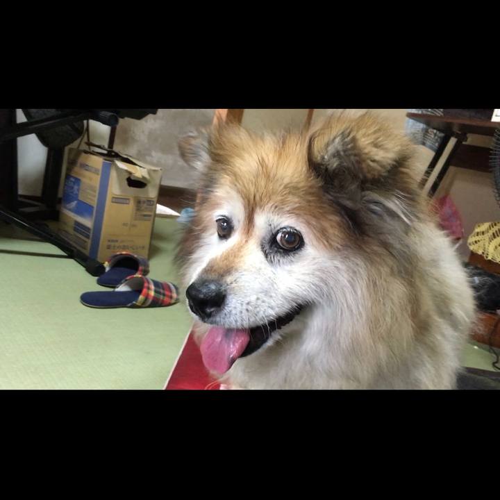 068fbd8c c4df 43f1 81f5 45c961f7494d 1568724472771