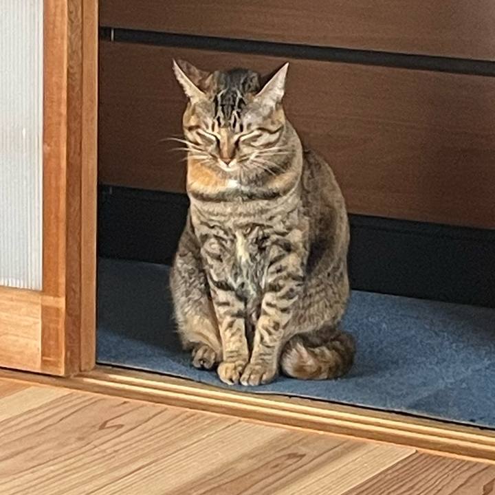 068fef36 c9fd 4914 90c6 b231a24d798b 1759017625214