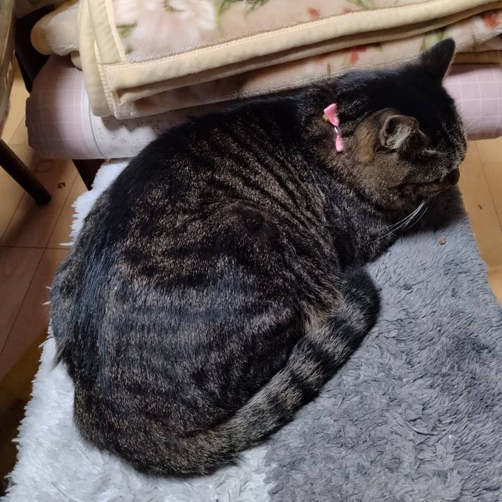 068ff61b f1c6 4f37 aa49 2fb0ee712cd9 1666565518938