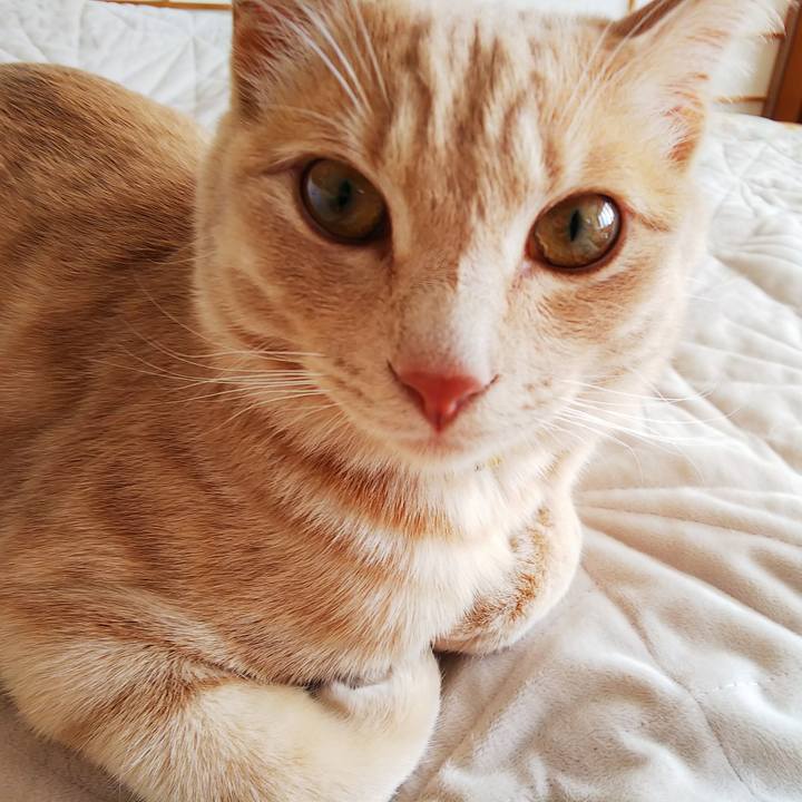 06904722 6fa5 4bd1 87ae e01a1636099c 1555040650694