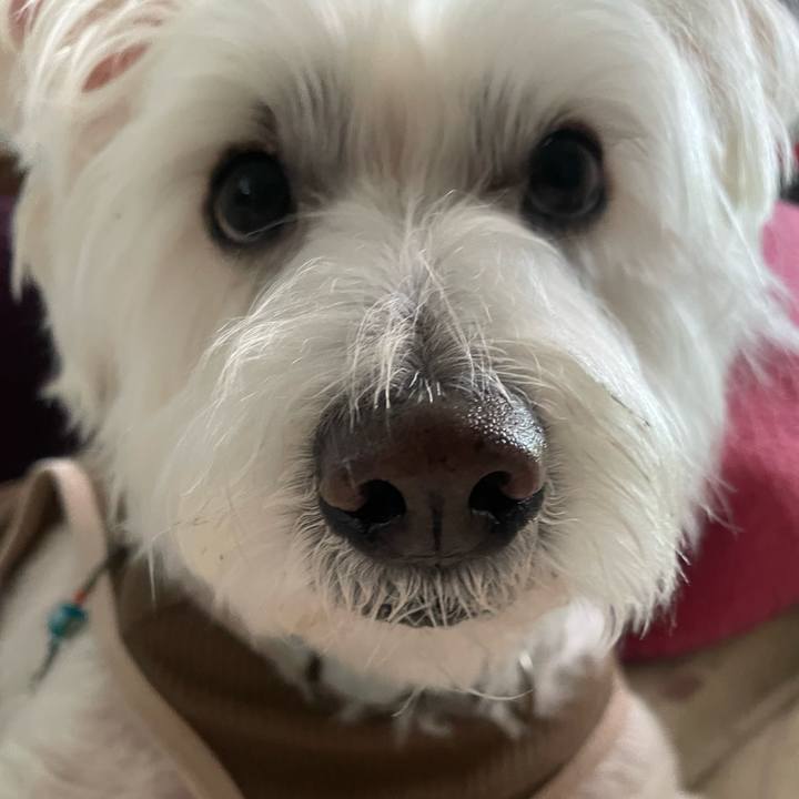 0690477f c3d5 4ed2 a574 35cce1836588 1746316225060