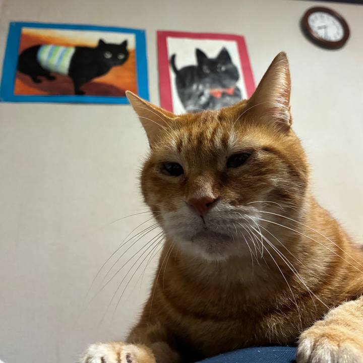 0690bc8d 3281 4514 888e 0872a548851b 1762342446006