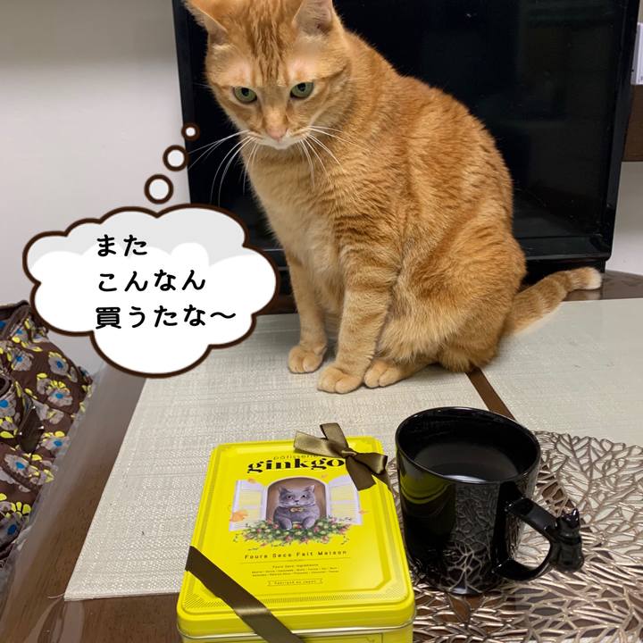 0690cd2b 7031 407c 9d68 c8400de4046a 1634955471720