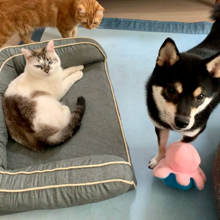 0690d909 47e7 42e8 a95d a67341f8474c 1627780727017