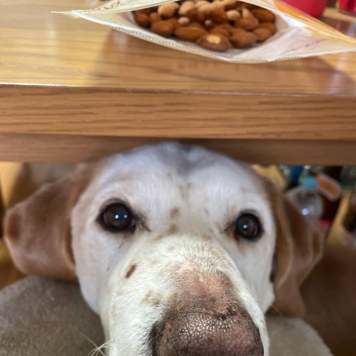 0690dc5a 1f4d 435c 91fc 4089bb3cbd0b 1773357947268