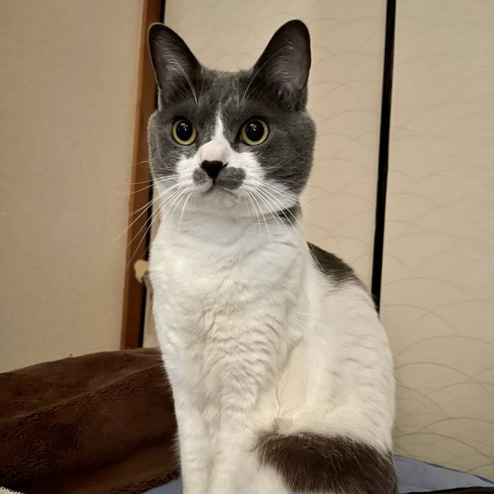 0690f53a 623a 43dd b75d dcb7299872b6 1662856226983