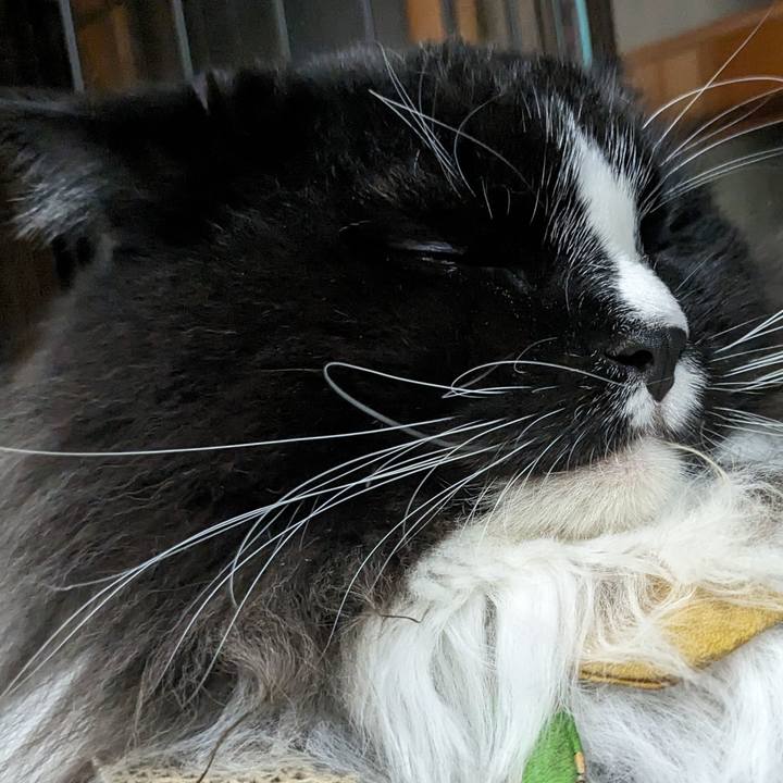 069107c6 c11d 498e a73c 9708413975a8 1696691631117