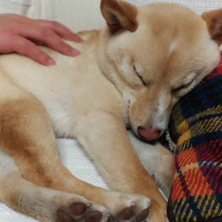 069109b7 d3e5 4794 ae94 2112d28109c3 1520169046617