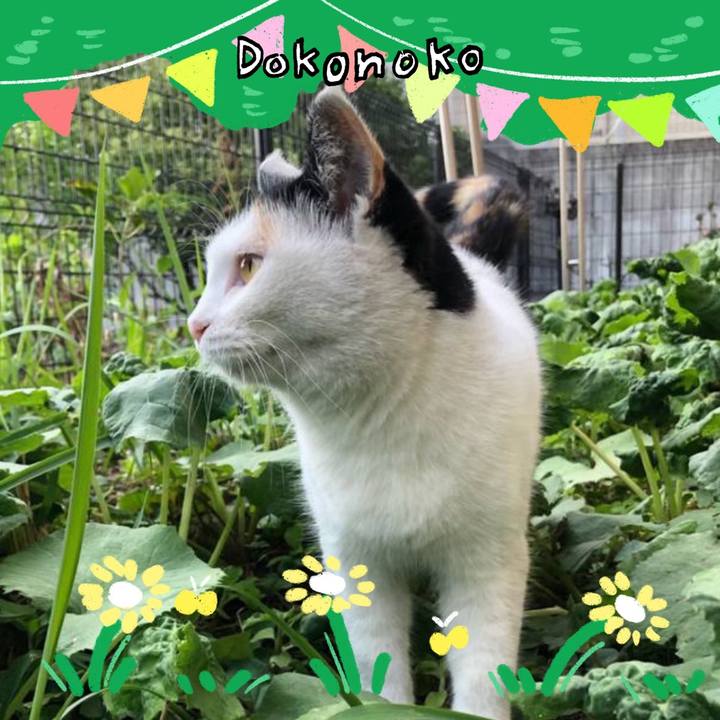 069132b6 2ff0 4065 add7 570a5576a822 1711023684325