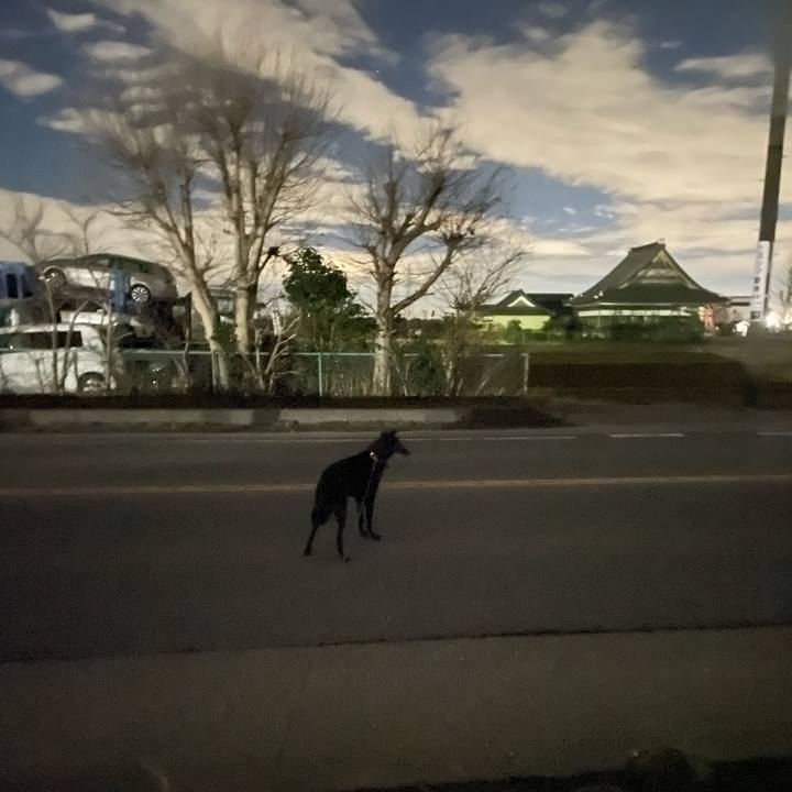 0691399e ed74 4c37 a1df 68c71f0e0564 1704032697271