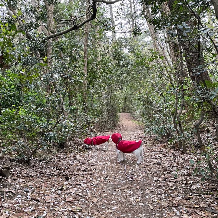 06917493 eedc 4426 b464 8e8e38f238a1 1681253849238