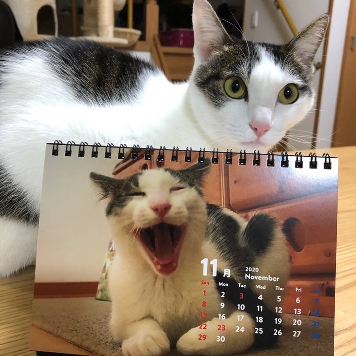 0691a6a0 8e23 45d7 8b11 3e76b9d41fe2 1604267356267