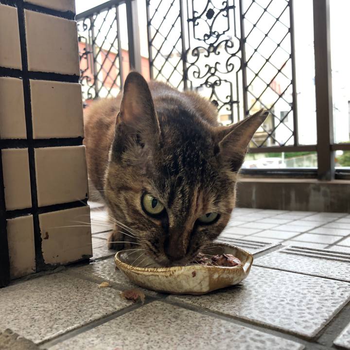 0691c164 aa1b 40a5 a678 5070e627df01 1629628007855