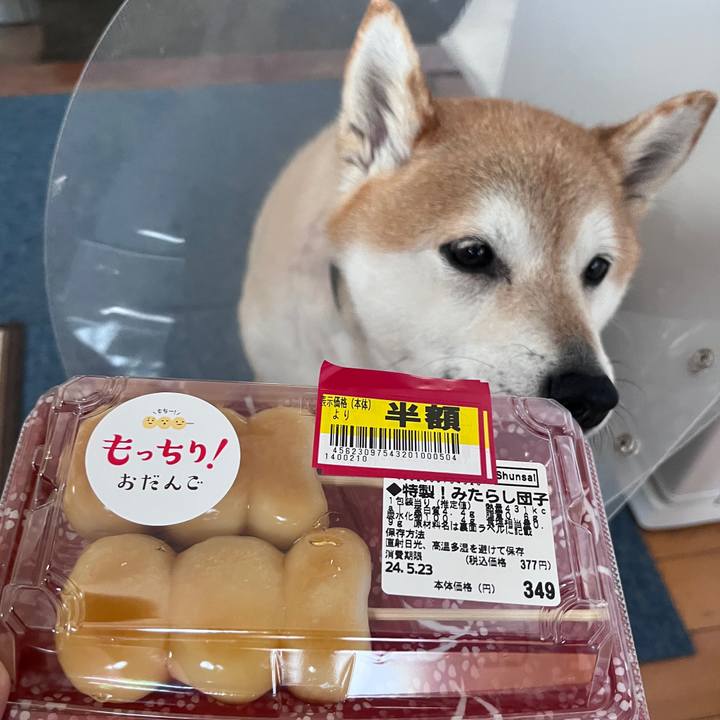 0691d431 46de 48d2 9760 936d6d811760 1716543215935