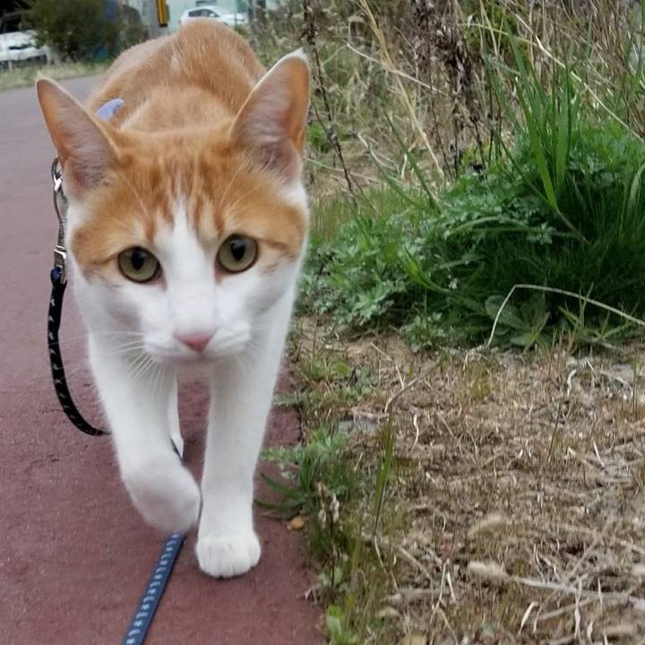 0691f4f7 2901 431e 872a 149a5d70e809 1523790517927