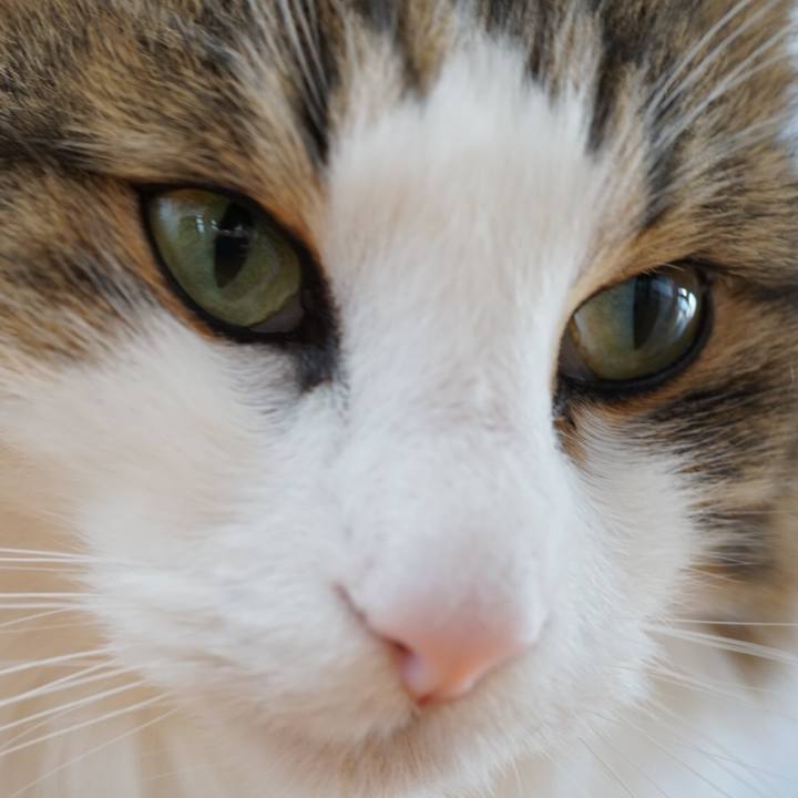 06921539 5ecc 4c65 9aaa deced55664fb 1545453549392