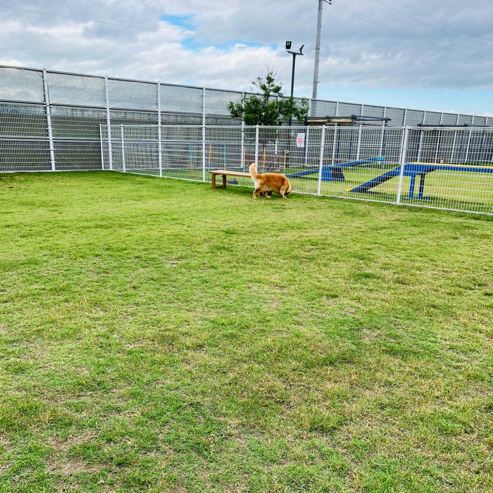 06923c9f a28e 47e2 b7f5 4d92177320ad 1719838013484