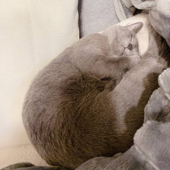 069268e6 d3c6 40b4 8126 2da0d6077595 1673510581825