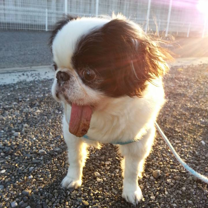 06926d73 e073 44fa acca e6c1f8e40e9d 1629105438847