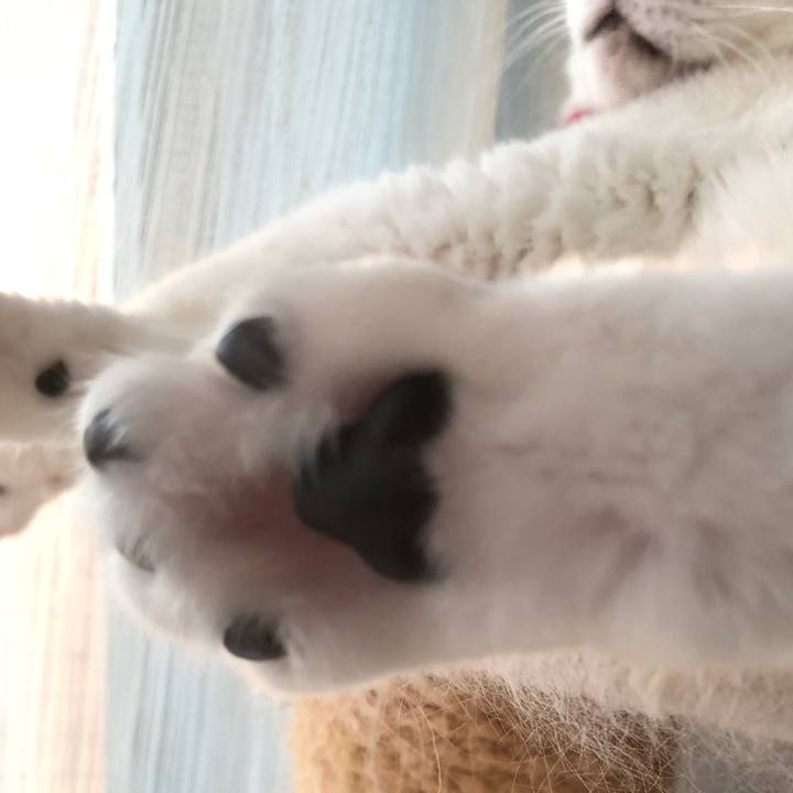 0692790e 12a8 40c9 9131 6bd5c256724f 1527932000632