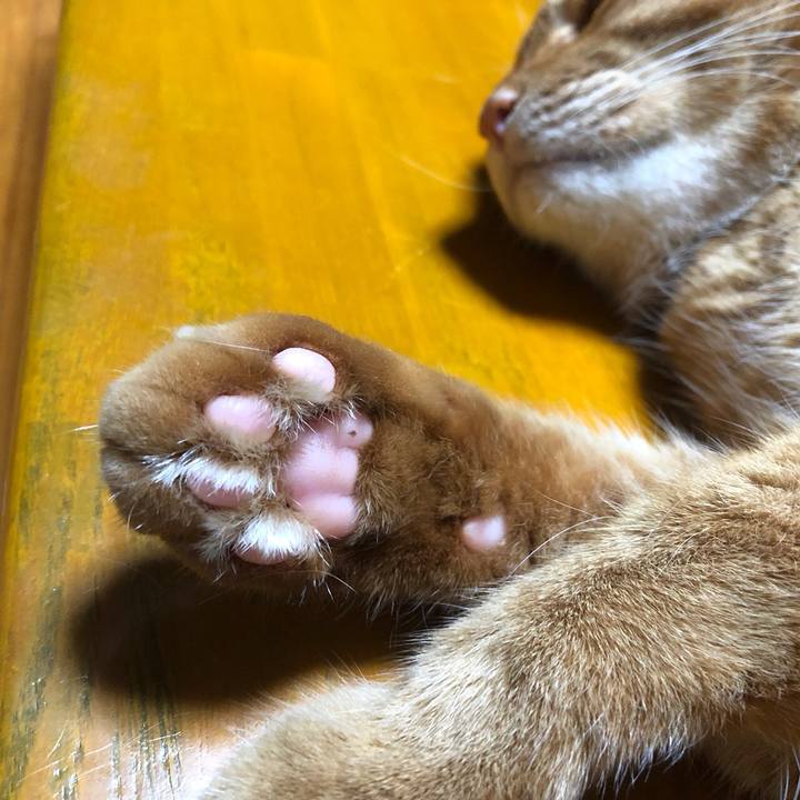 0692947e 9c49 47b8 b4a7 9e58b8b34b68 1534938032966