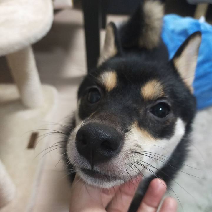 0692a2a6 8b3e 419d 935e abf9be29b752 1600320201817