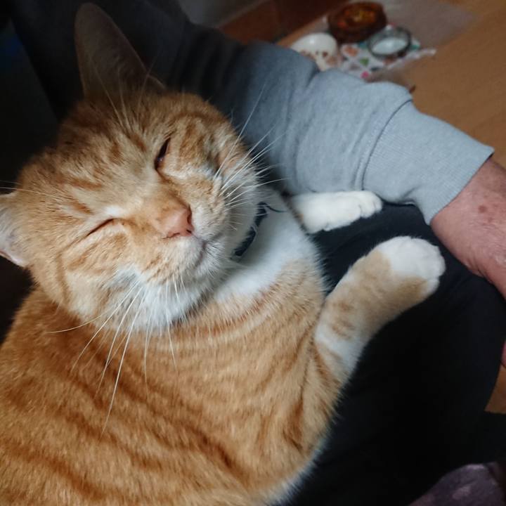 0692a994 26b6 4b62 8139 701550a1abdd 1607770614100