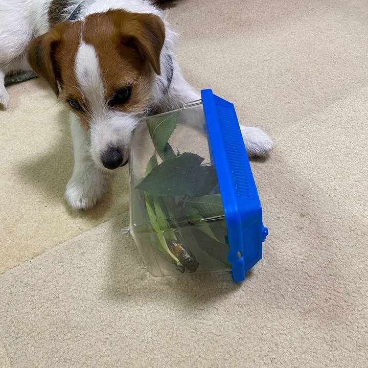 0692acb4 f3de 40d7 af82 2f200cf82b64 1626645255977