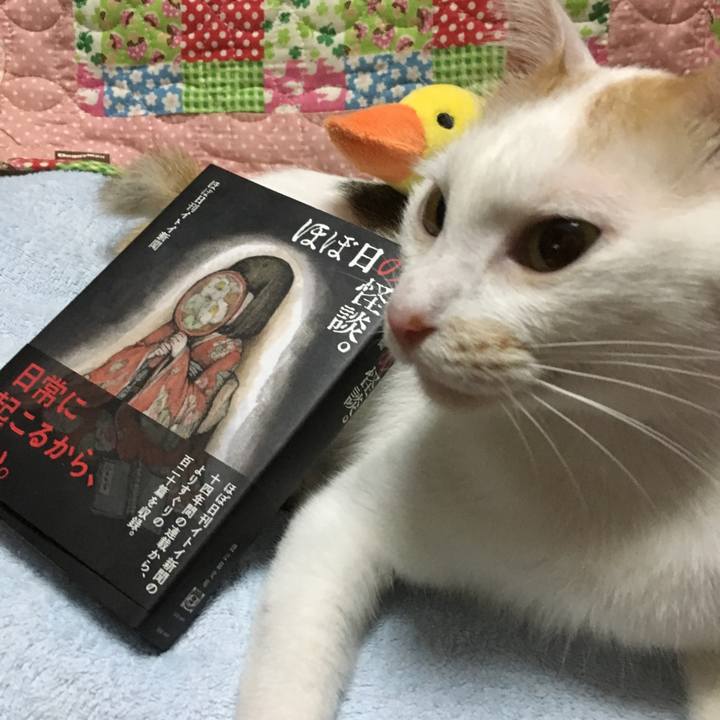 0692afab 51af 4eb2 9e90 c0a39b6ab717 1534424676216