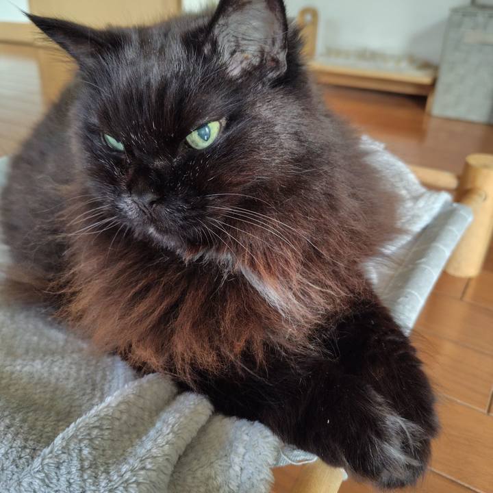 0692b8fb 1158 4c33 82e4 29bf164f0f16 1733873712934