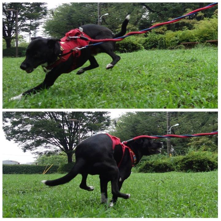 0692bea1 22b2 416d 8711 edef05f63963 1629158486589