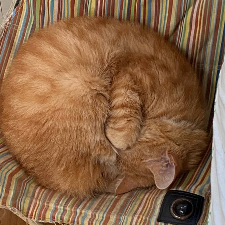 0692c8e3 a363 4dc6 986a 05a14669643e 1608962194022