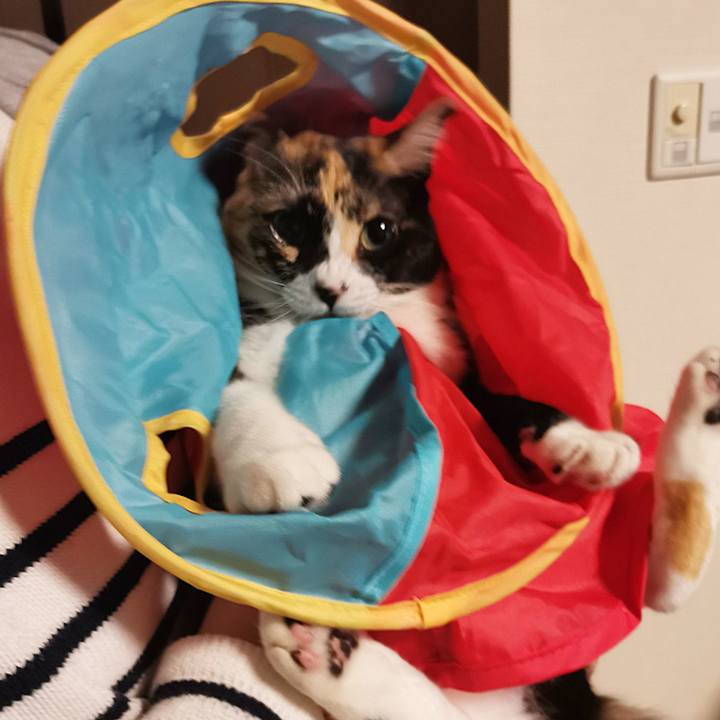 0692ed58 1a89 492f bb87 492444194c24 1667191761114