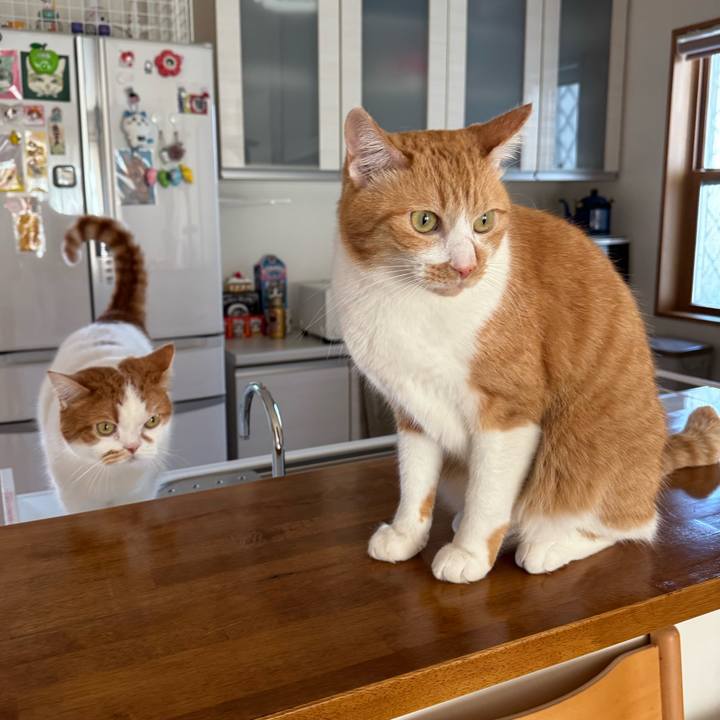 06930220 8df4 4c7c 8f59 ead8eecd699f 1769825216985