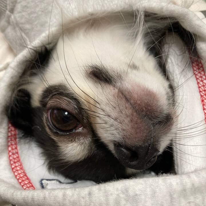 069306cd b656 47ea 895b 9111d17341c3 1669183522233