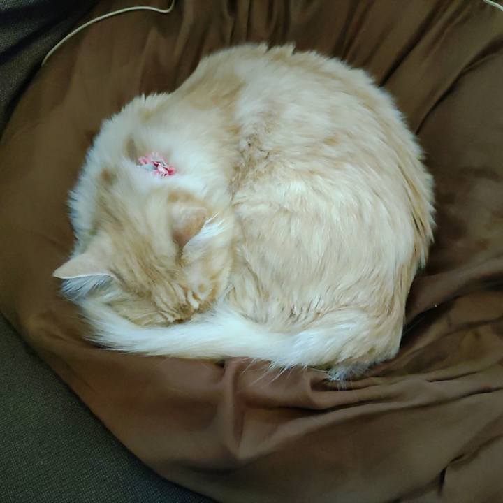 069329fd c9e9 405f bf2e 00f399986839 1668304774931