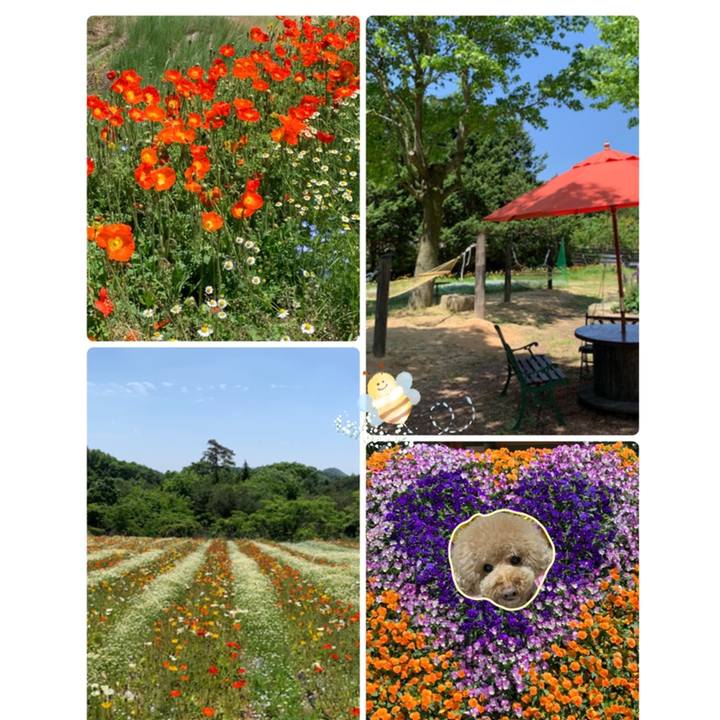 069334d7 17ae 4078 965f 2c996ea38ee5 1558564441318