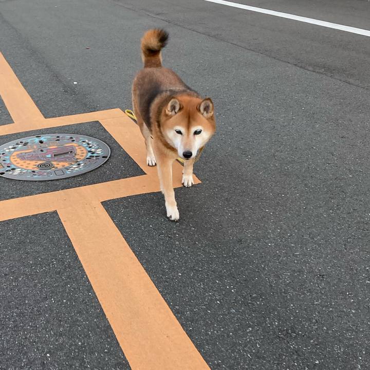 069335dc 2d4f 40da 9a53 e05f50ede86e 1637919780735