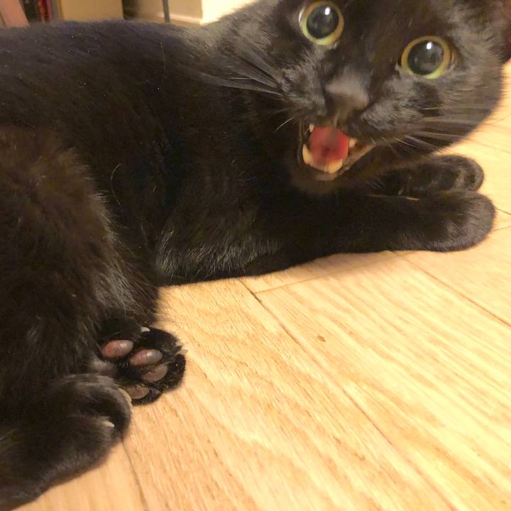 069352dd cf57 4279 9aa2 781319713f08 1550753944960